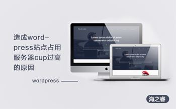 造成wordpress站點(diǎn)占用服務(wù)器cup過高的原因