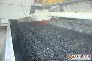 郓城煤矿选煤厂顺利实现带煤试运转